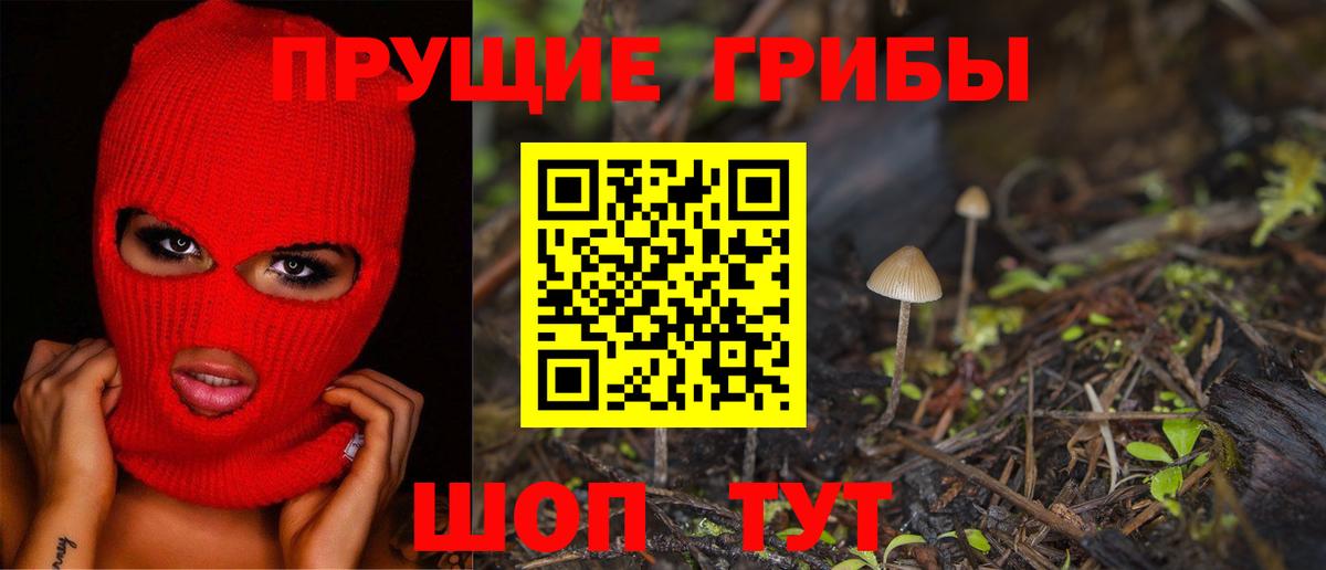 Галлюциногенные грибы Psilocybine cubensis  Галлюциногенные грибы ЛСД  Будённовск  Вход с VPN 